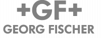 Georg Fischer